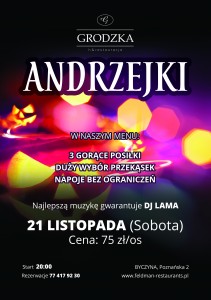 Read more about the article Andrzejki 2015